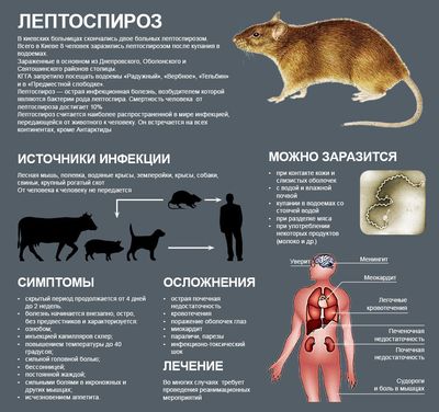 лептоспироз