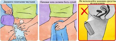 суточный анализ мочи