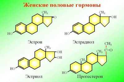 женские половые гармоны