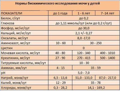Нормы биохимического анализа мочи у детей
