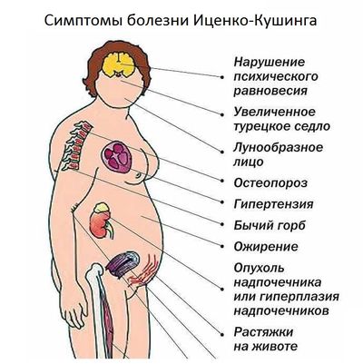 болезнь-кушинга