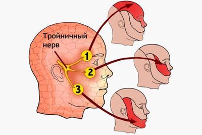 тройничный нерв