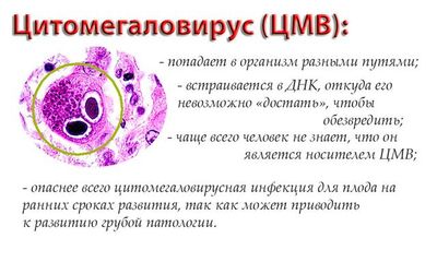 Цитомегаловирус признаки