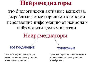 нейромедиаторы