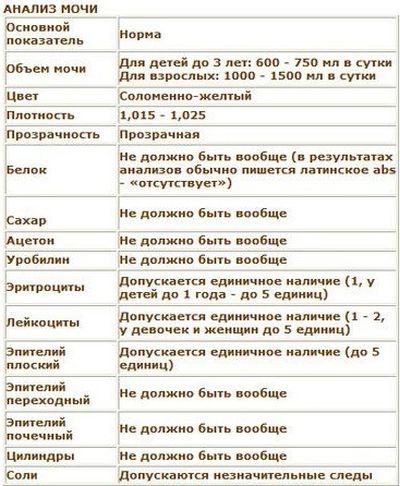 Эпителий в моче нормы