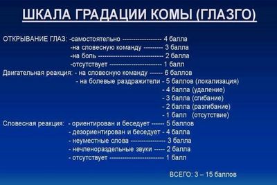 шкала комы