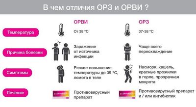 различия орви и орз