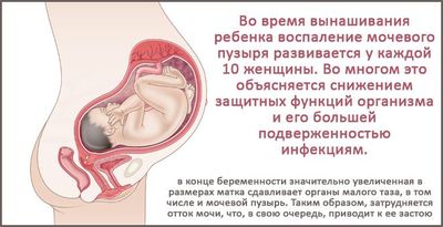 во время беременности