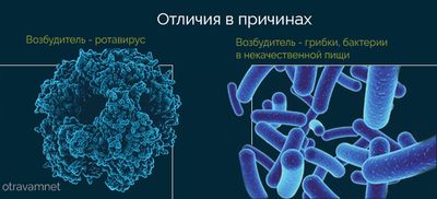 Отличия ротавируса от отравлений в причинах