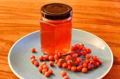 Отвар из рябины красной