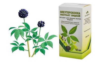 tinktura eleuterokoka v alkoholu