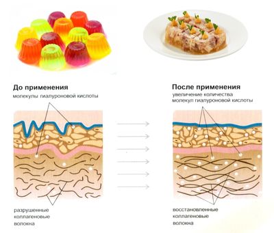 Полезные свойства желатина