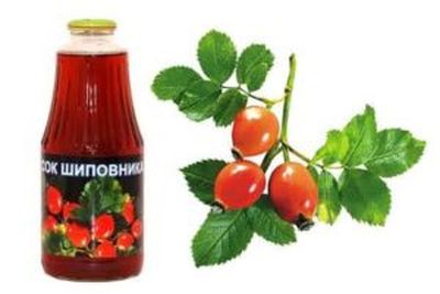 Шиповник