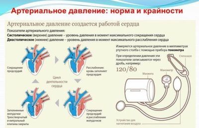 Нормальный уровень  АД у ребенка