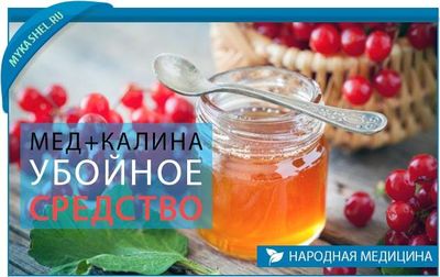 калина с медом