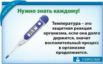важно знать о температуре