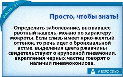 кашель до рвоты у взрослого