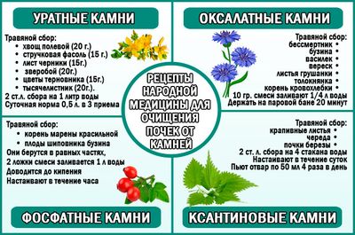 Очищаем почки народными средствами в домашних условиях