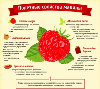малина при лечении простуды - свойства