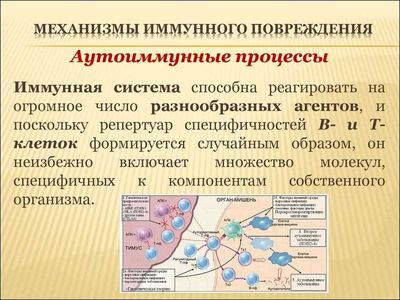 аутоиммунный процесс