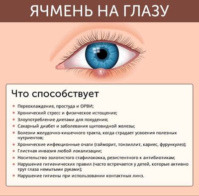 Развитие ячменя