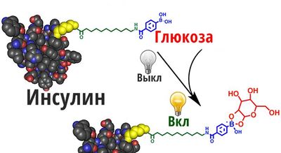 Взаимодействие инсулина с глюкозой