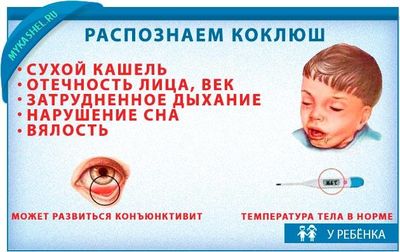 ищем причину коклюш