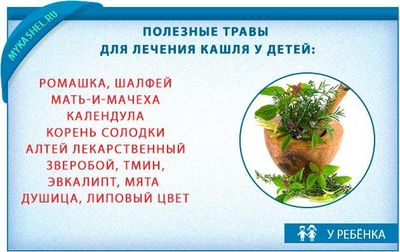используем траву малышу