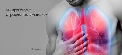 Грудная клетка