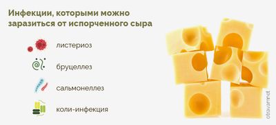 Кусочки сыра
