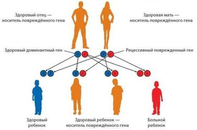 Наследственность