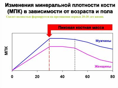 минеральная плотность кости