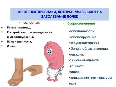 признаки болезней почек
