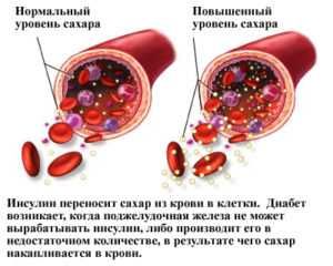 Воздействие на организм