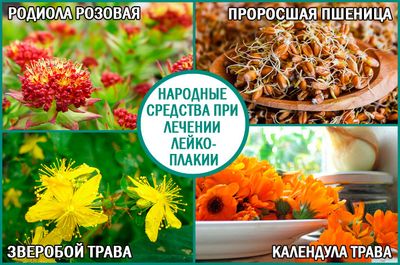 Лейкоплакия: народные методы лечения