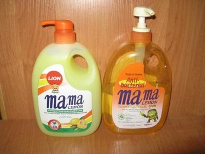 Lion Mama