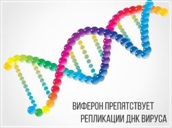 Виферон подавляет активность вирусов