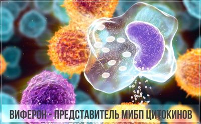 Виферон принадлежит к МИБП цитокинам