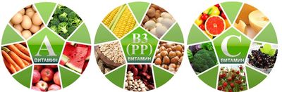 продукты в которых содержится большое количество витаминов