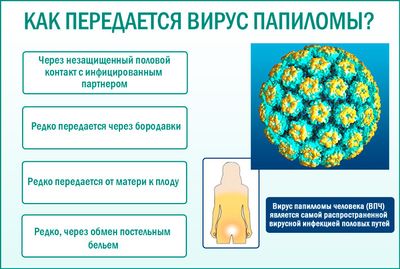 Как передается и происходит заражения ВПЧ?