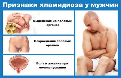 Жжение в члене при хламидиозе