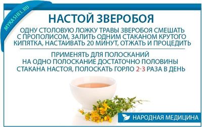Настой зверобоя от кашля