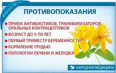 Противопоказания зверобоя