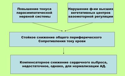 Развитие первичной гипотонии