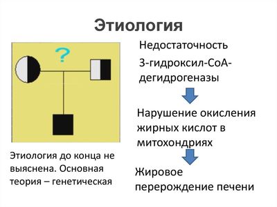 Этиология жировой дистрофии печени