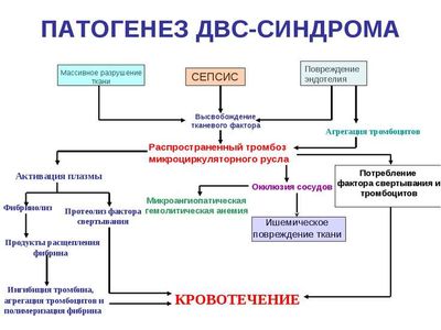 Патогенез ДВС-синдрома