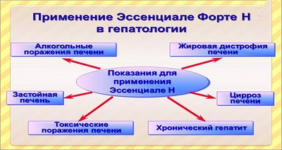 Применение Эссенциале в гепатологии