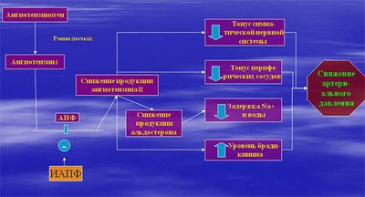 механизм действия ингибиторов