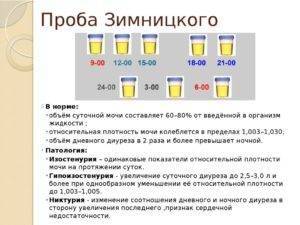 Пробный завтрак