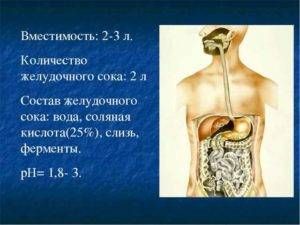 Количество желудочного сока